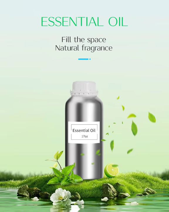 Source Factory Highest Quality Fragrance Oils Top Blends for Cold Air Scent Diffusers, Home Care, Candle, Long-Lasting Perfume