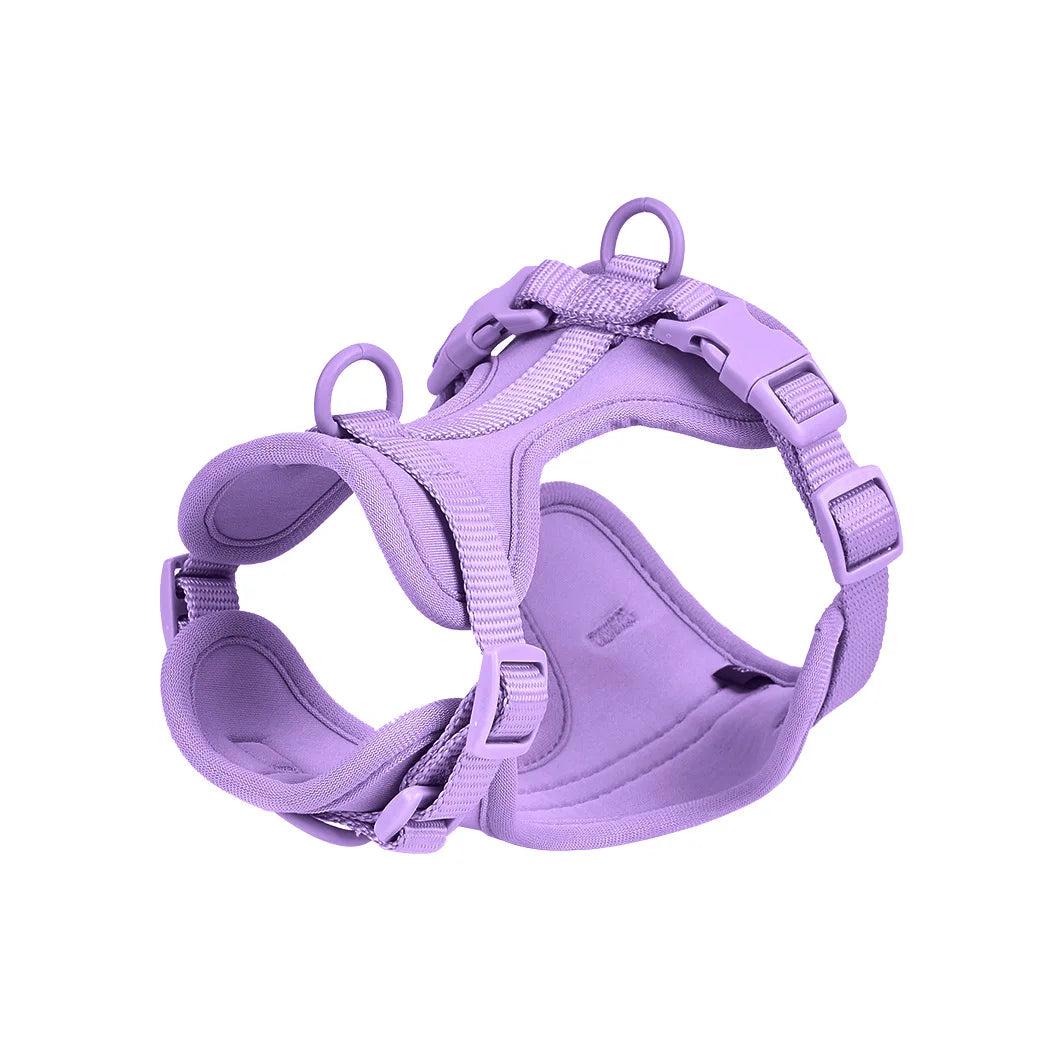 Pet Accessories - Pet Walking 