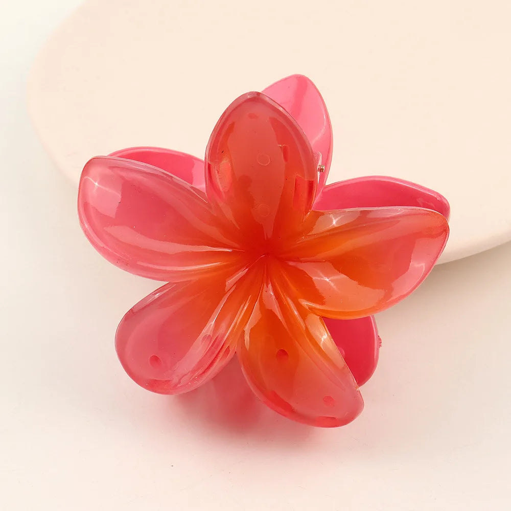 Transparent Hair Clip 