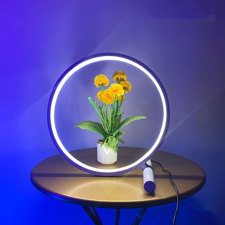 variable table lamp
