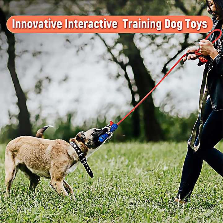 Interactive Rope Toy for Dogs - Pet Accessories 