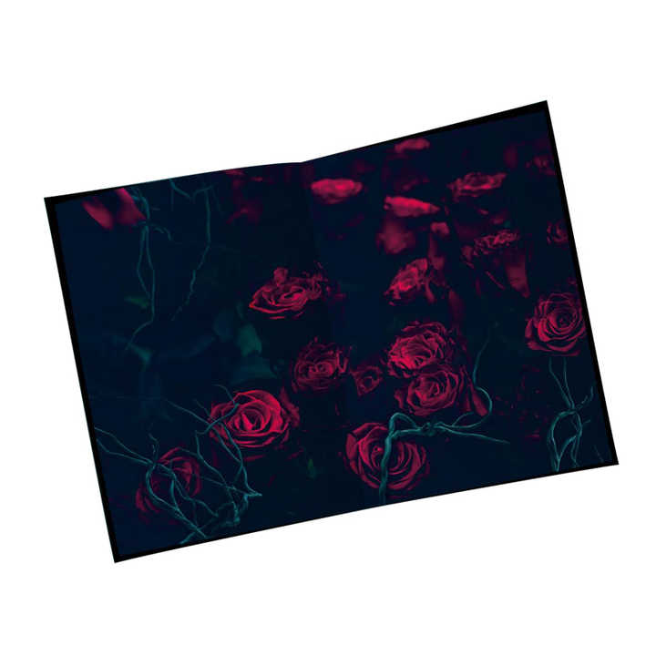 Fantasy and Romance Books 