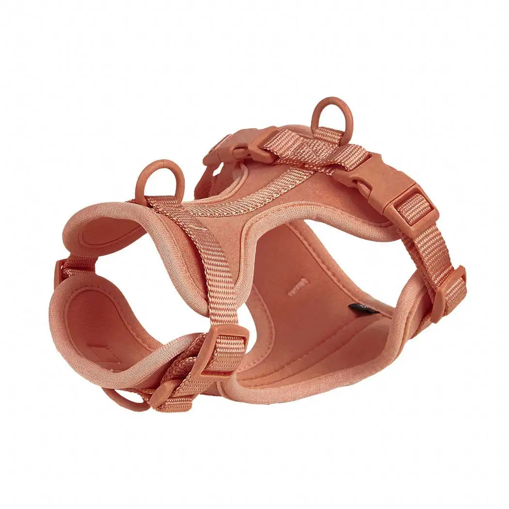 Pet Accessories - Pet Walking 