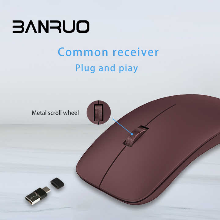 computer mouse 