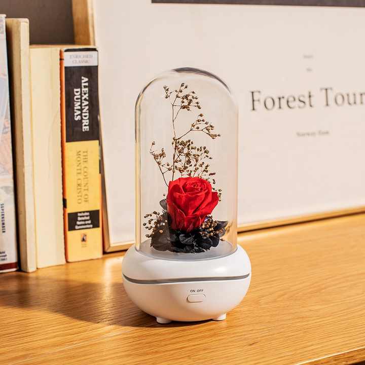Concept Aroma - Diffuser 