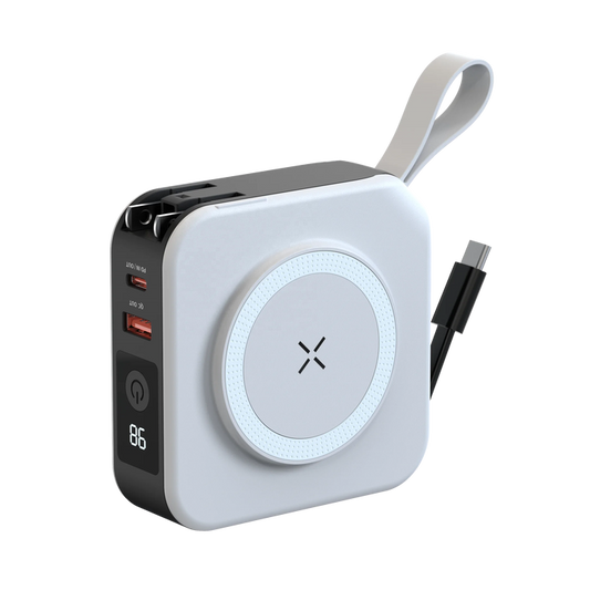 Universal Travel Charger 