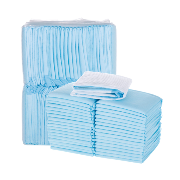 Toilet Training Pad - Medical Pet Supplies 