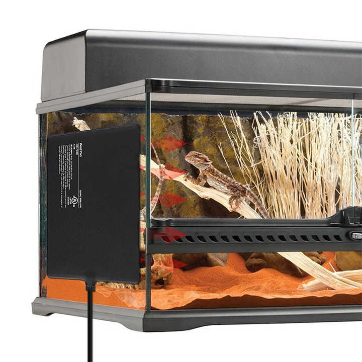 Reptile Pet - Fish Tank 