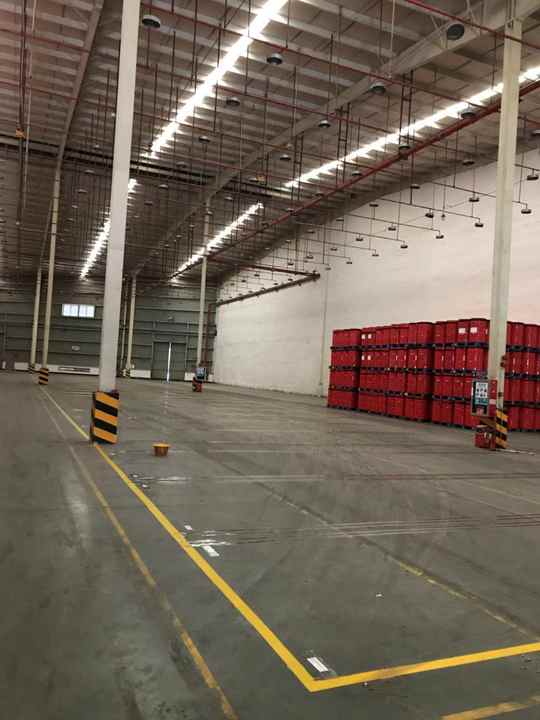 طويله - جوارب برسومات كرتونية