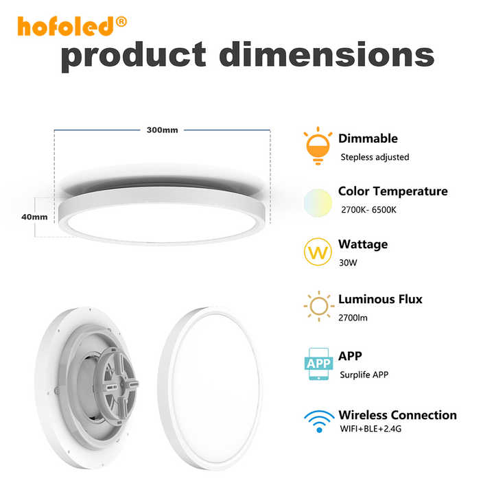 Modern smart ceiling lamp 
