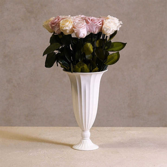The most common types of house flowers. 