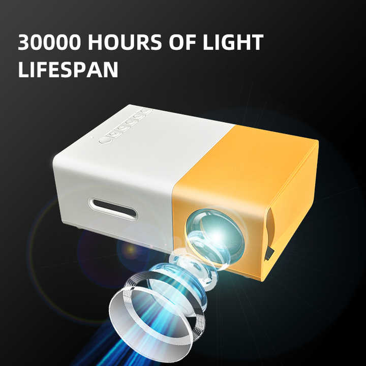 Small portable home LCD 