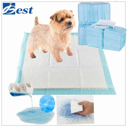 Best Selling Pet Training Accessories - Grooming Tools 