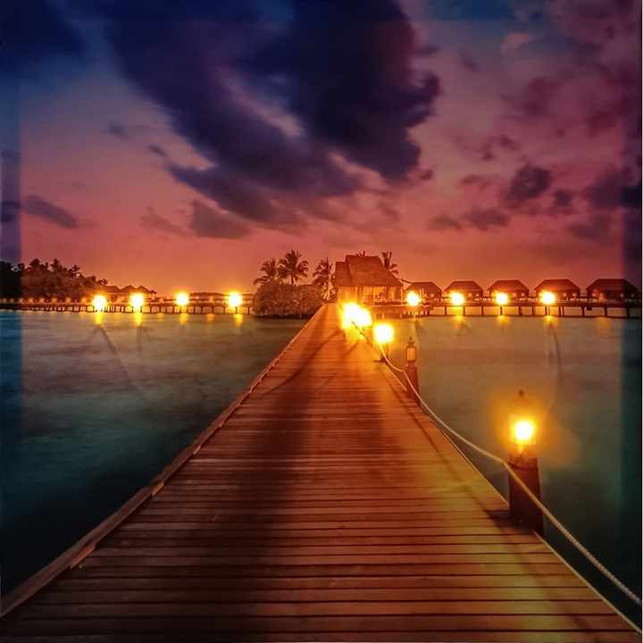 oil paintings 