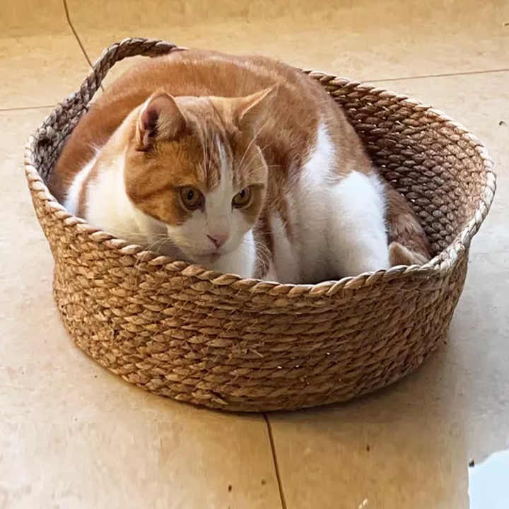 Basket Bed - Animal Accessories 