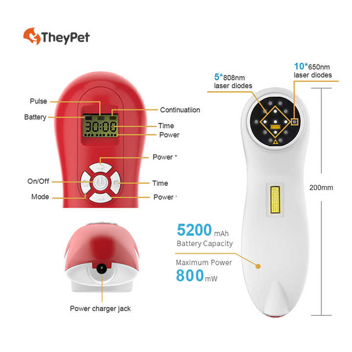 Veterinary cold laser therapy equipment 