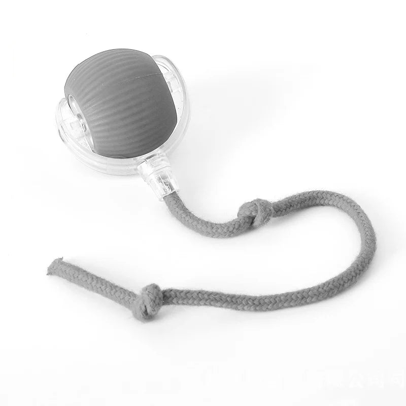 Animal Accessories - Interactive Toy Ball 