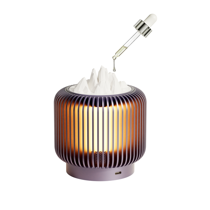 Elegant Portable Speaker 