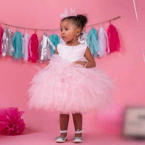 princess dress 