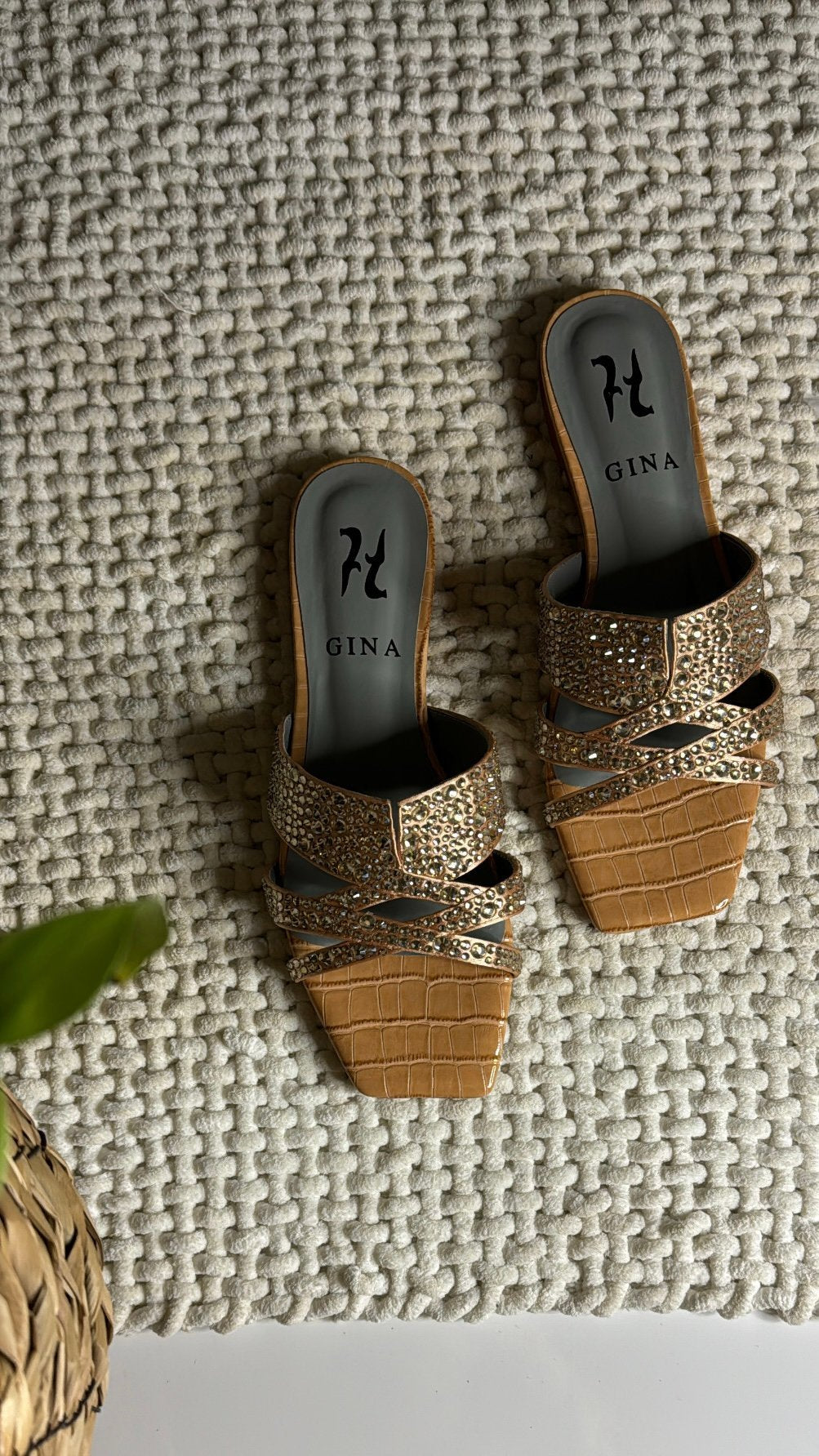 my shoes